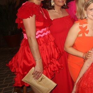 CeliaB Red and Pink Ruffle Prisma Mini Dress - Small